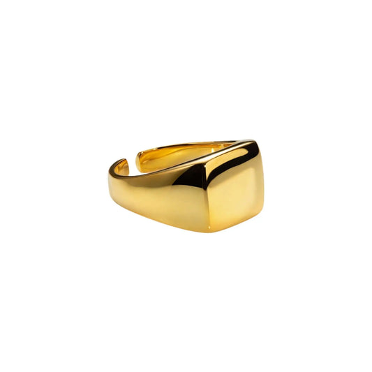 Vielring - Quadratischer Siegelring - 925 Silber - Gold / Kupfer