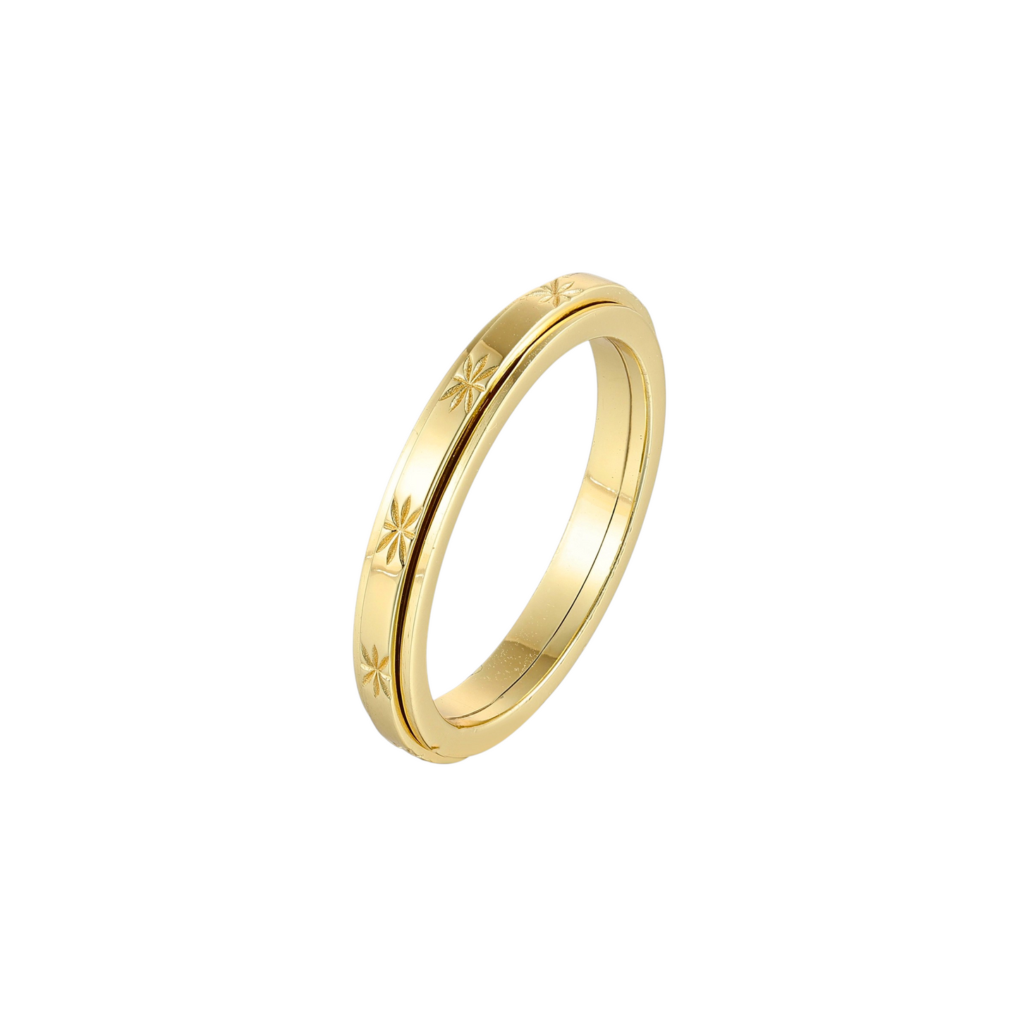 Matte Classic Rotating Ring - Stainless Steel