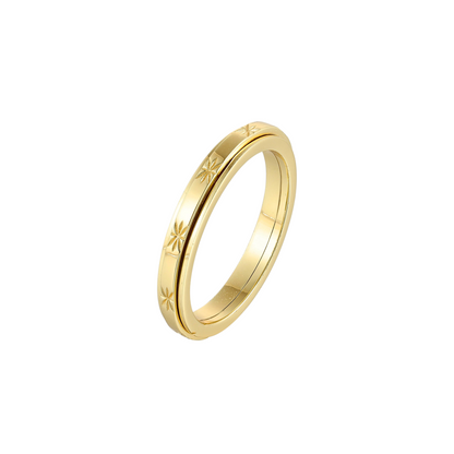 Matte Classic Rotating Ring - Stainless Steel
