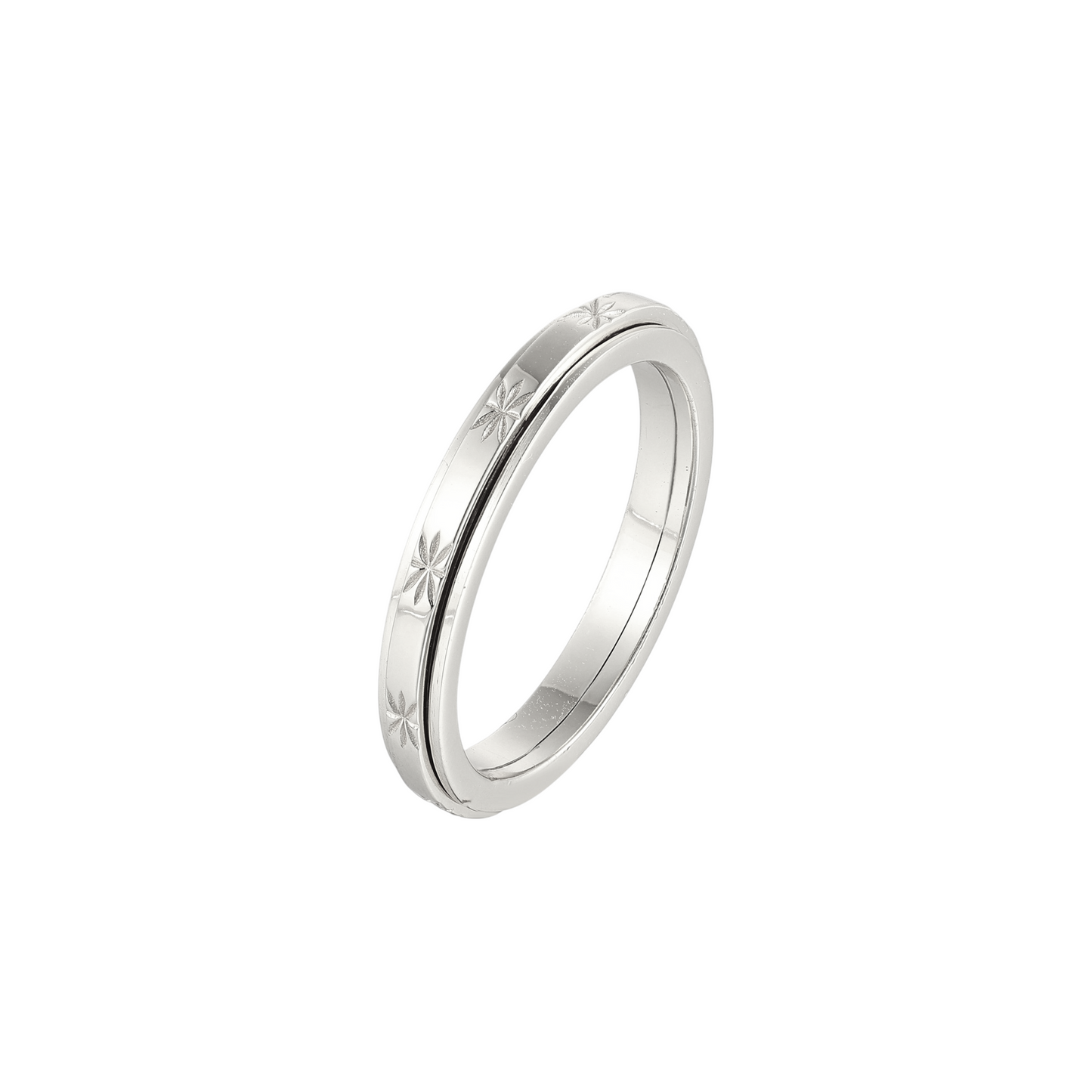 Matte Classic Rotating Ring - Stainless Steel