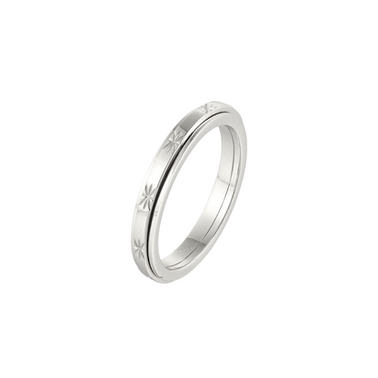 Matte Classic Rotating Ring - Stainless Steel
