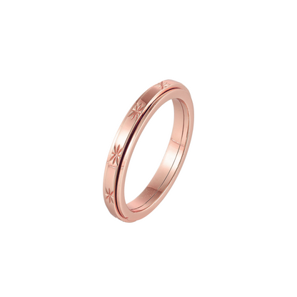 Matte Classic Rotating Ring - Stainless Steel