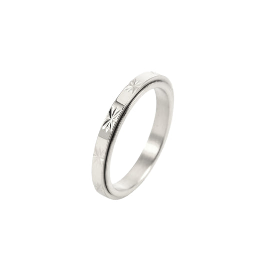 Matte Classic Rotating Ring - Stainless Steel