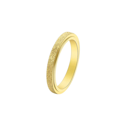Matte Classic Rotating Ring - Stainless Steel