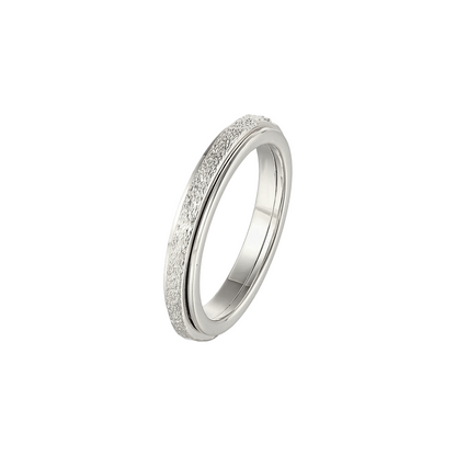 Matte Classic Rotating Ring - Stainless Steel