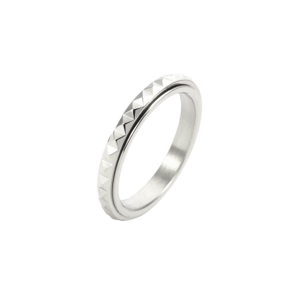 Matte Classic Rotating Ring - Stainless Steel