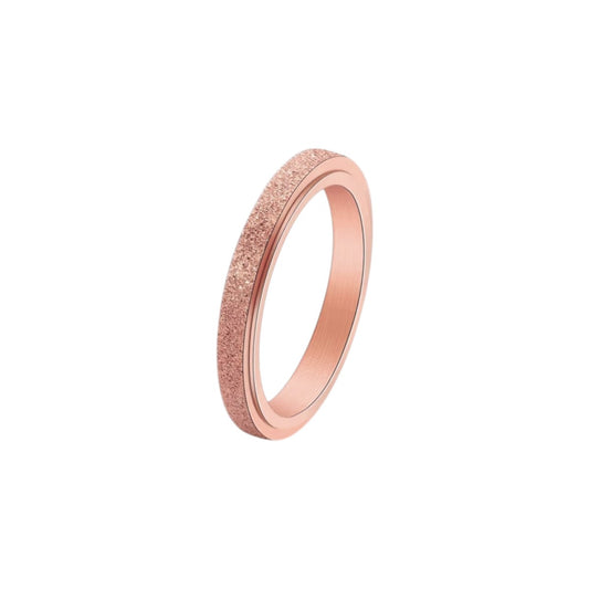 Matte Classic Rotating Ring - Stainless Steel