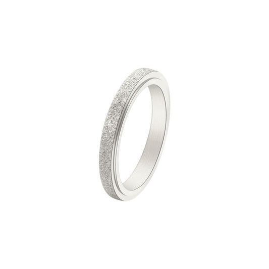 Matte Classic Rotating Ring - Stainless Steel