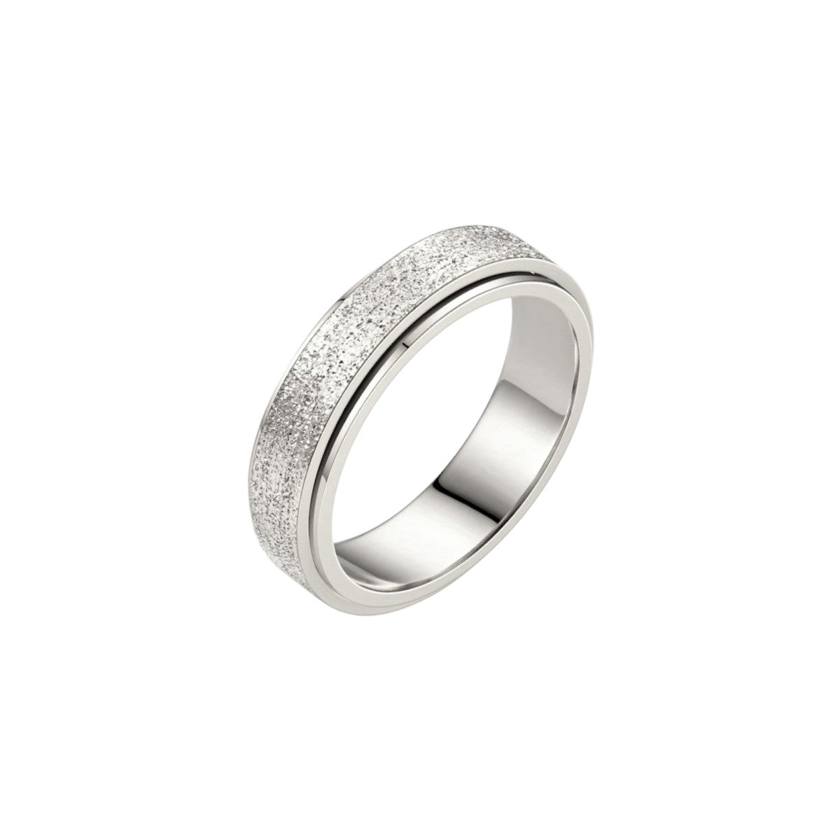 Matte Classic Rotating Ring - Stainless Steel